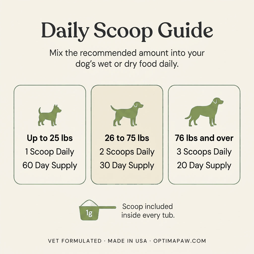 Daily Scoop Guide
